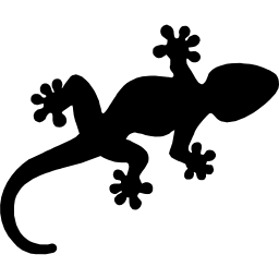 gecko-reptile-shape